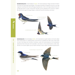 Gewiekste Vogelgids