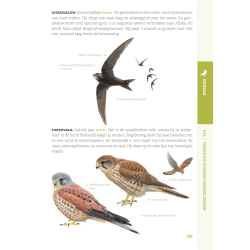 Gewiekste Vogelgids
