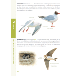 Gewiekste Vogelgids