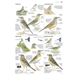 ANWB Vogelgids van Europa