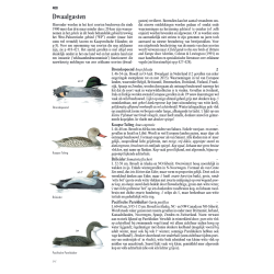 ANWB Vogelgids van Europa