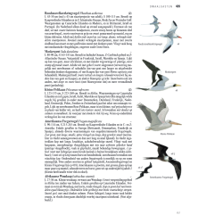 ANWB Vogelgids van Europa