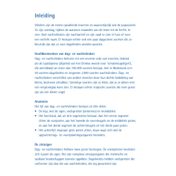 Compactgids Vlinders