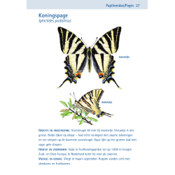 Compactgids Vlinders