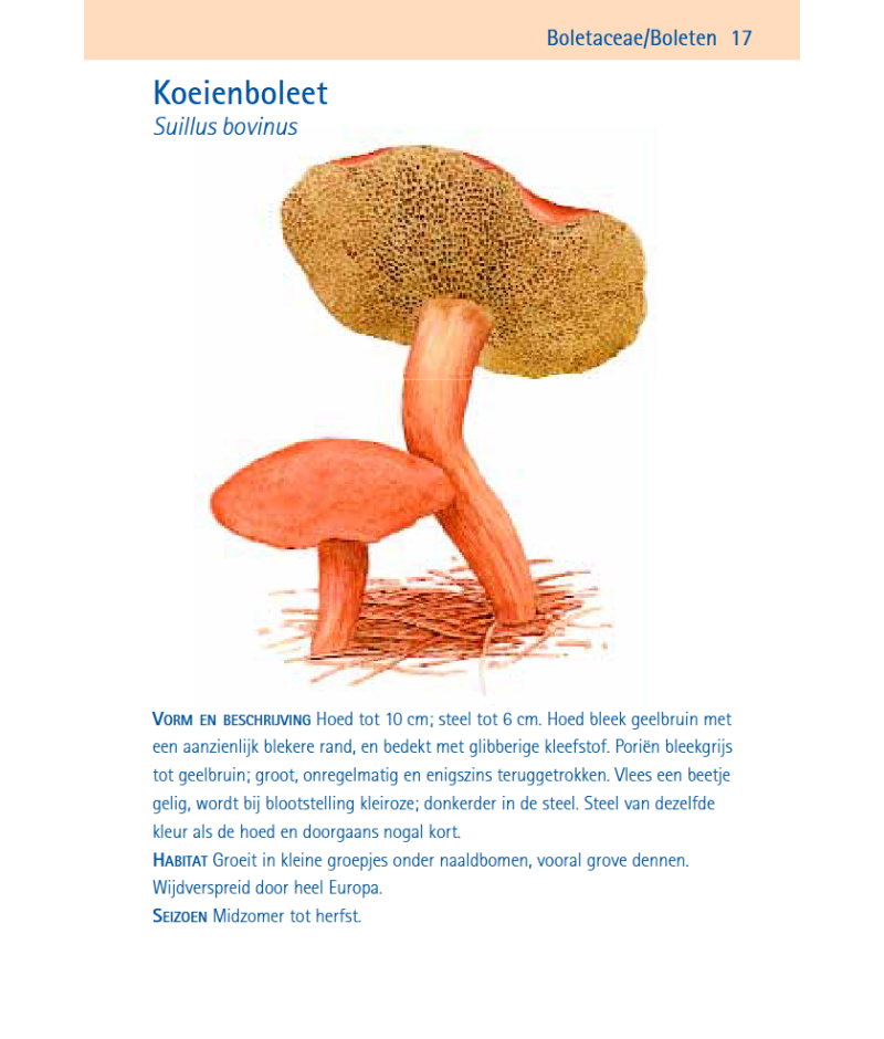 Het product liever eerst testen? Kom dan eens langs bij ons in de winkel
