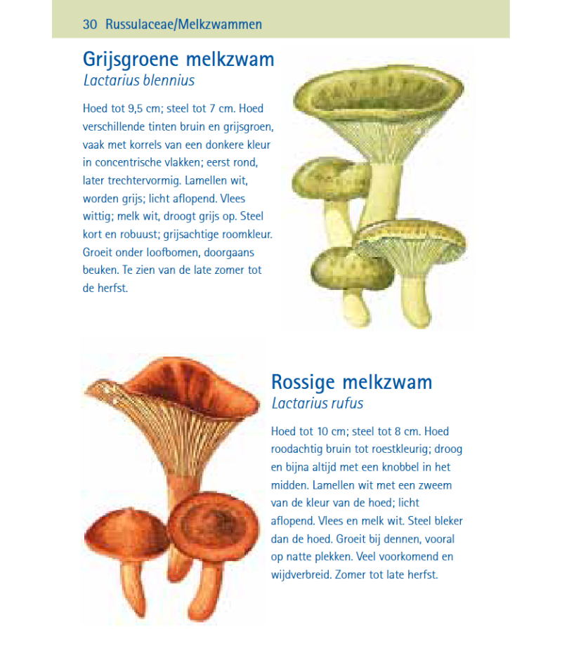 Het product liever eerst testen? Kom dan eens langs bij ons in de winkel