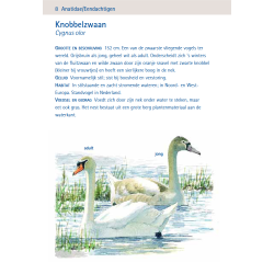 Compactgids Vogels