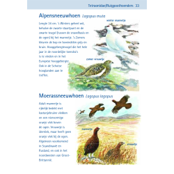 Compactgids Vogels