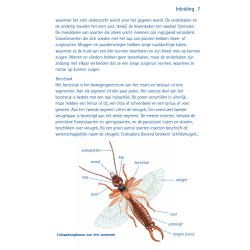 Compactgids Insecten