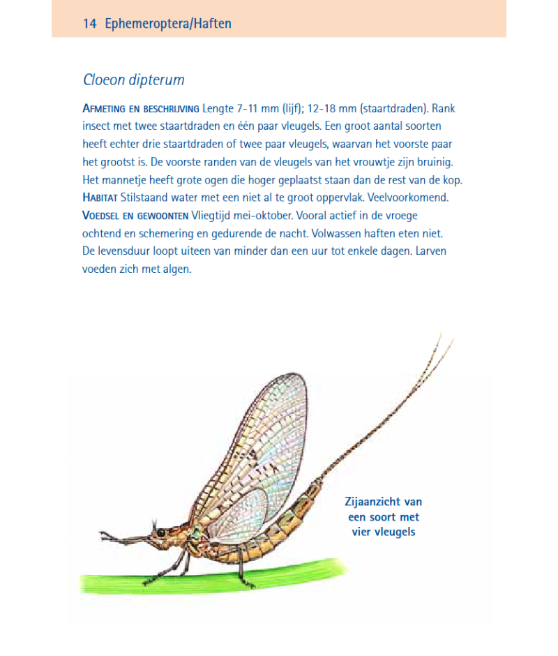Het product liever eerst testen? Kom dan eens langs bij ons in de winkel