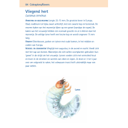 Compactgids Insecten
