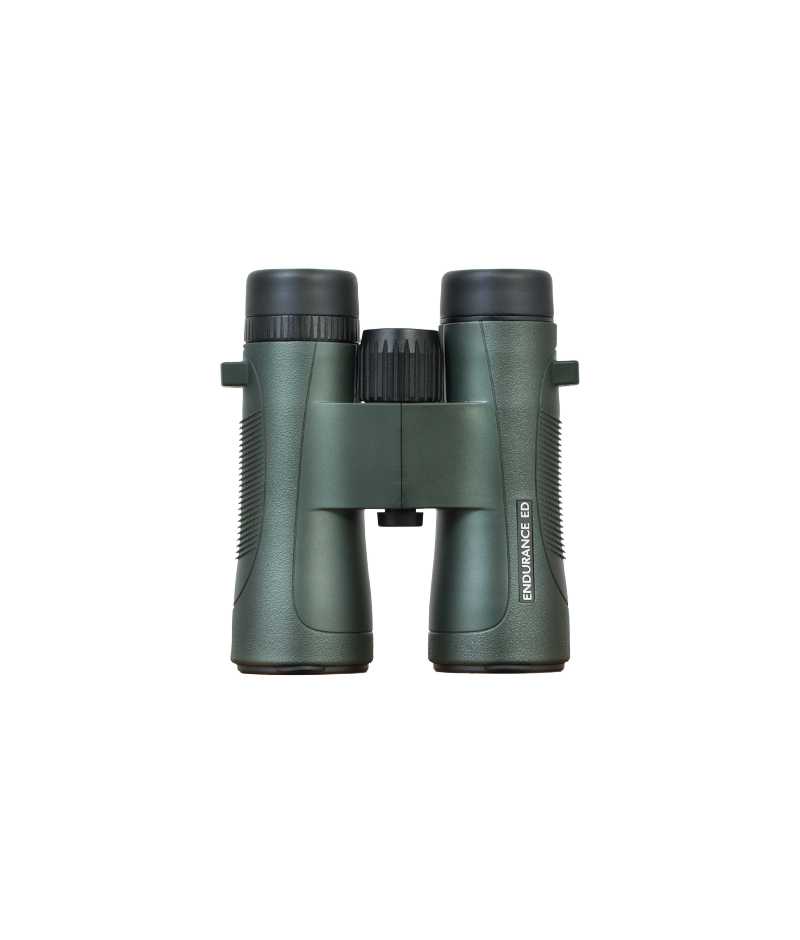 Hawke Endurance ED 8x42 Groen