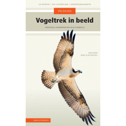 Veldgids Vogeltrek in beeld
