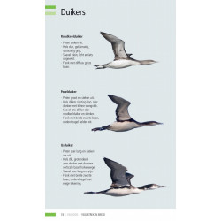 Veldgids Vogeltrek in beeld