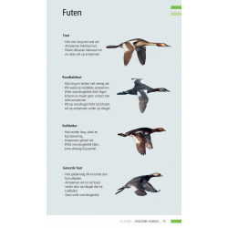 Veldgids Vogeltrek in beeld