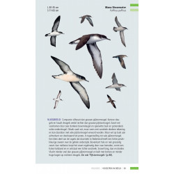 Veldgids Vogeltrek in beeld