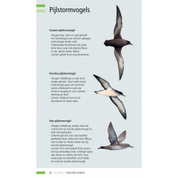 Veldgids Vogeltrek in beeld