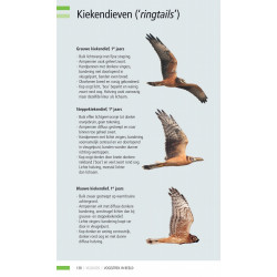 Veldgids Vogeltrek in beeld