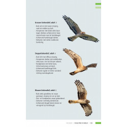 Veldgids Vogeltrek in beeld