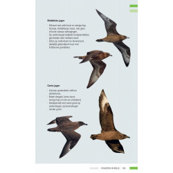Veldgids Vogeltrek in beeld