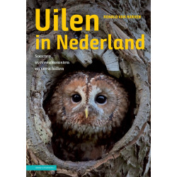 Uilen in Nederland