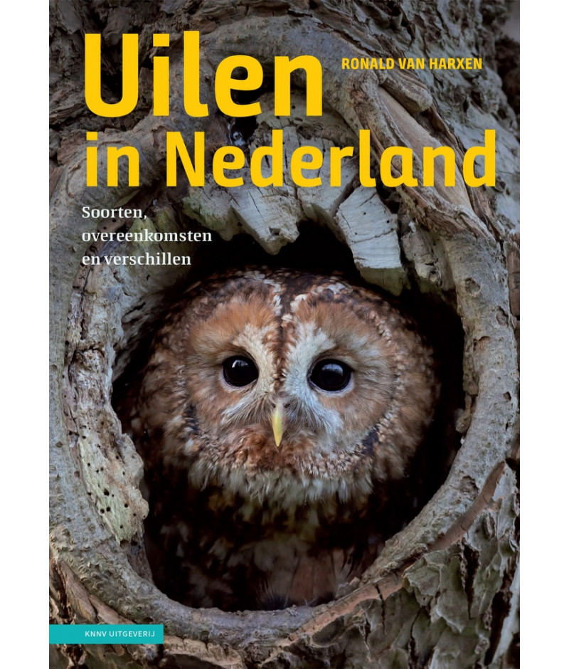 Uilen in Nederland