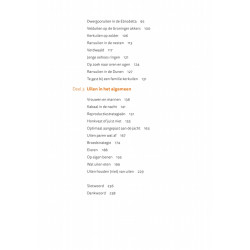 Uilen in Nederland