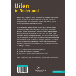 Uilen in Nederland