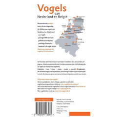Minigids Vogels van Nederland en België