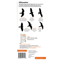 Minigids Roofvogels van Nederland en België