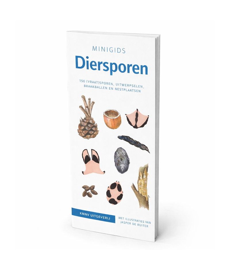 Minigids Diersporen