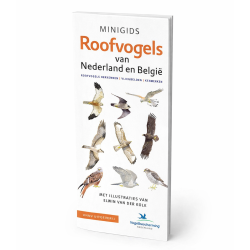 Minigids Roofvogels van Nederland en België