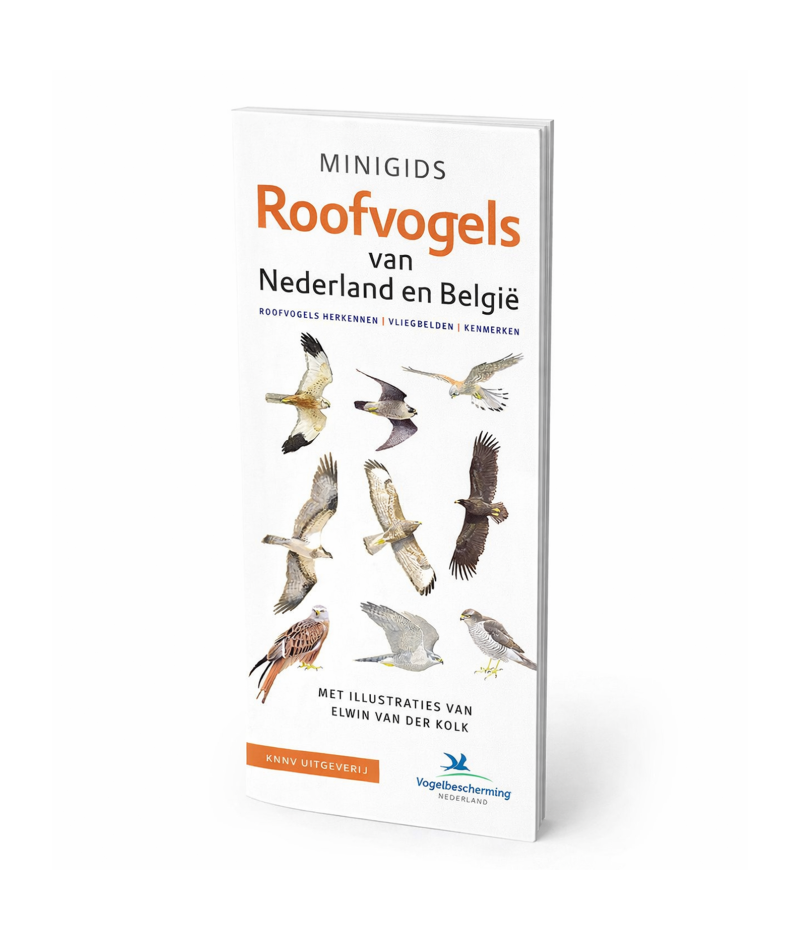 Minigids Roofvogels van Nederland en België