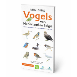 Minigids Vogels van Nederland en België
