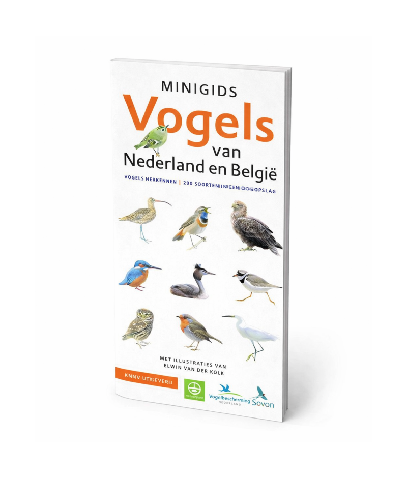Minigids Vogels van Nederland en België