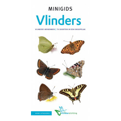 Minigids Vlinders