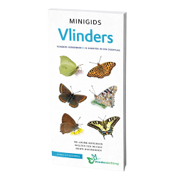 Minigids Vlinders