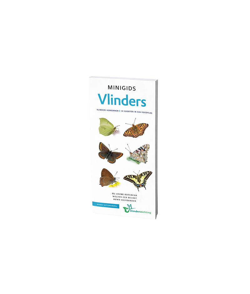 Minigids Vlinders