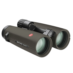 Leica Noctivid 8x42 Groen