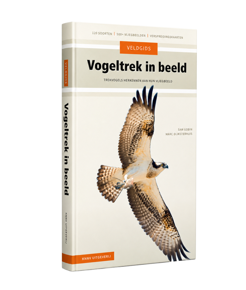 Veldgids Vogeltrek in beeld
