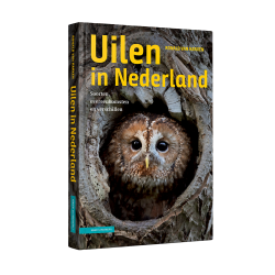 Uilen in Nederland