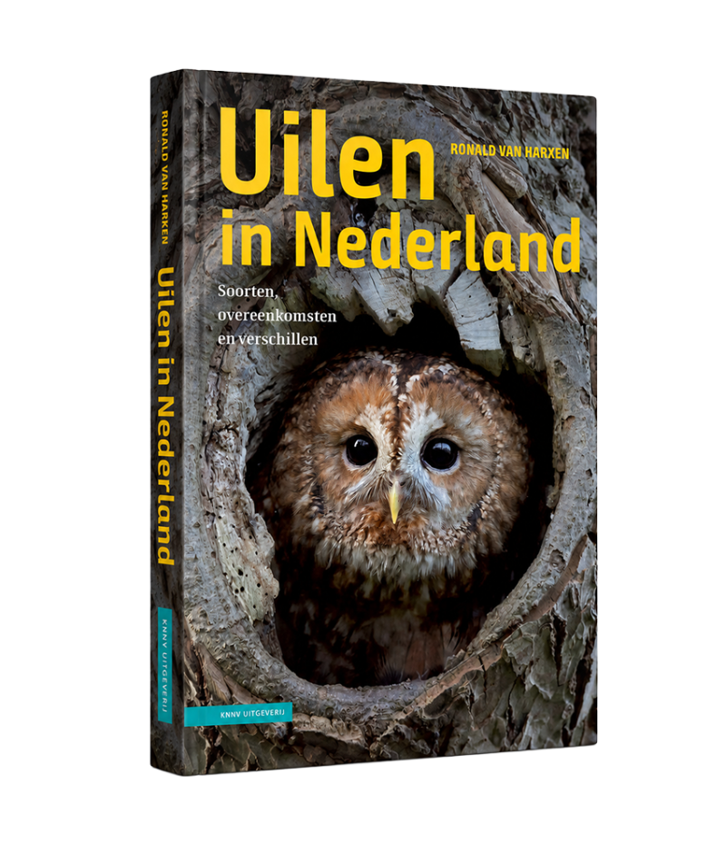Uilen in Nederland