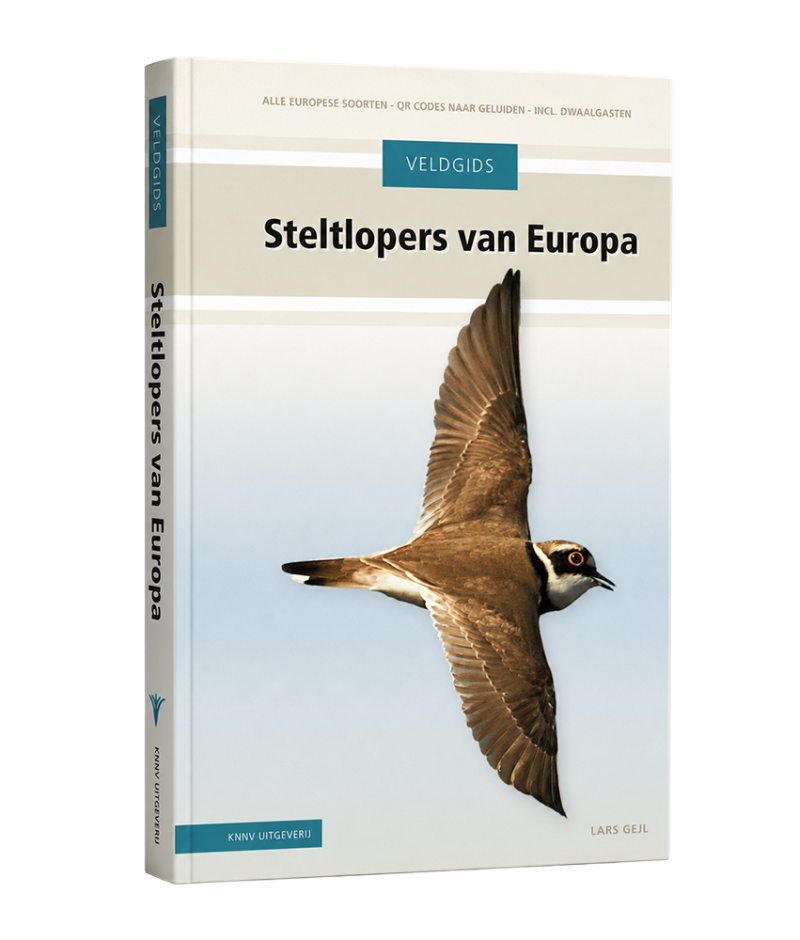 Veldgids Steltlopers van Europa