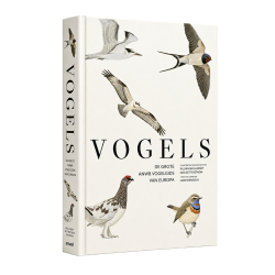 Vogels - Lars Svensson
