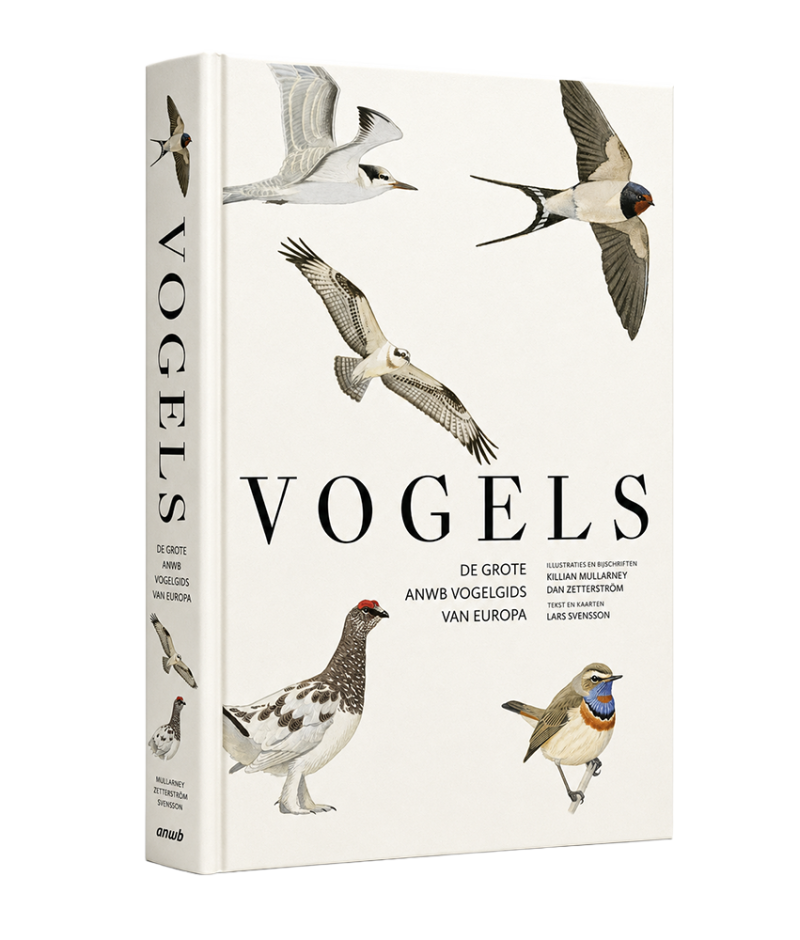 Vogels - Lars Svensson