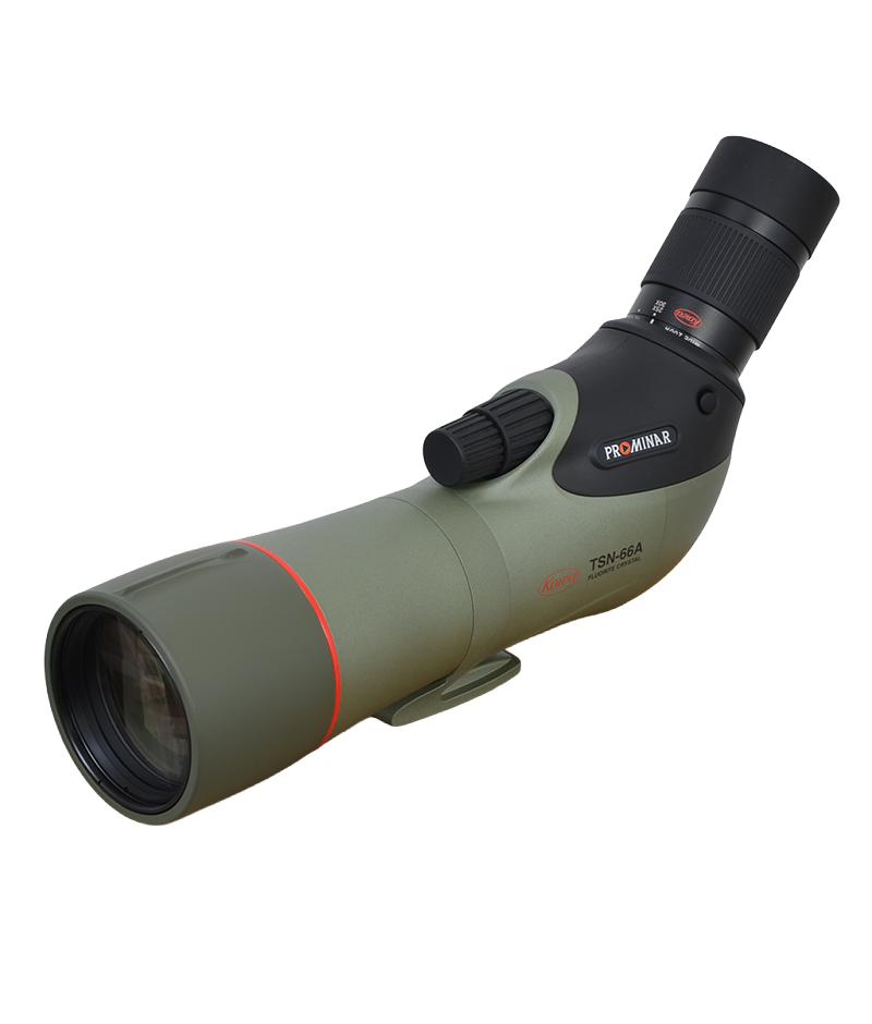 Kowa Spottingscope TSN-66A Prominar + TE-11WZ II WA Oculair | Occasion