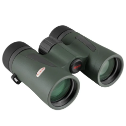 Kowa BDIII 10x32 XD