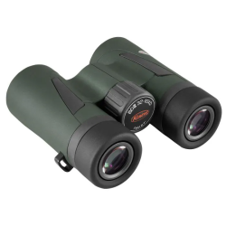 Kowa BDIII 10x32 XD