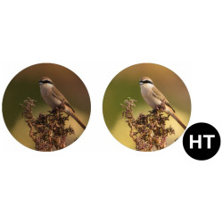 VerrekijkerShop | Zeiss Victory SF 10x32 VerrekijkerShop | Zeiss Victory SF 10x32