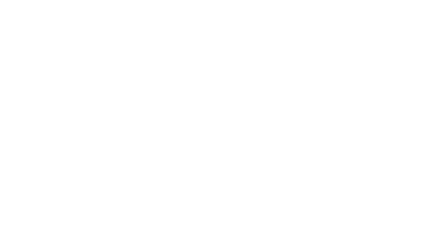 Swarovski Optik logo